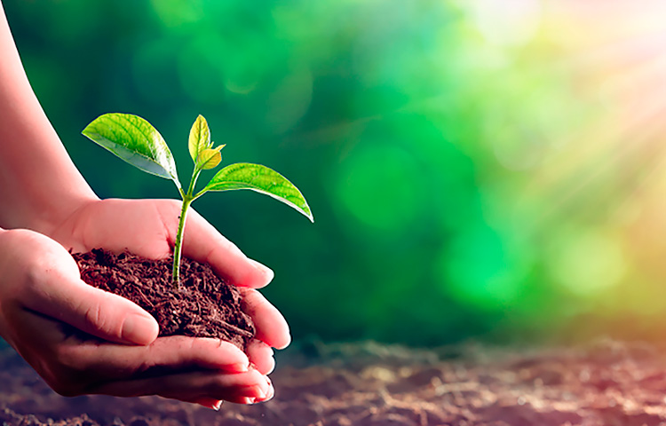 必发365(集团)兴趣网投天天必发