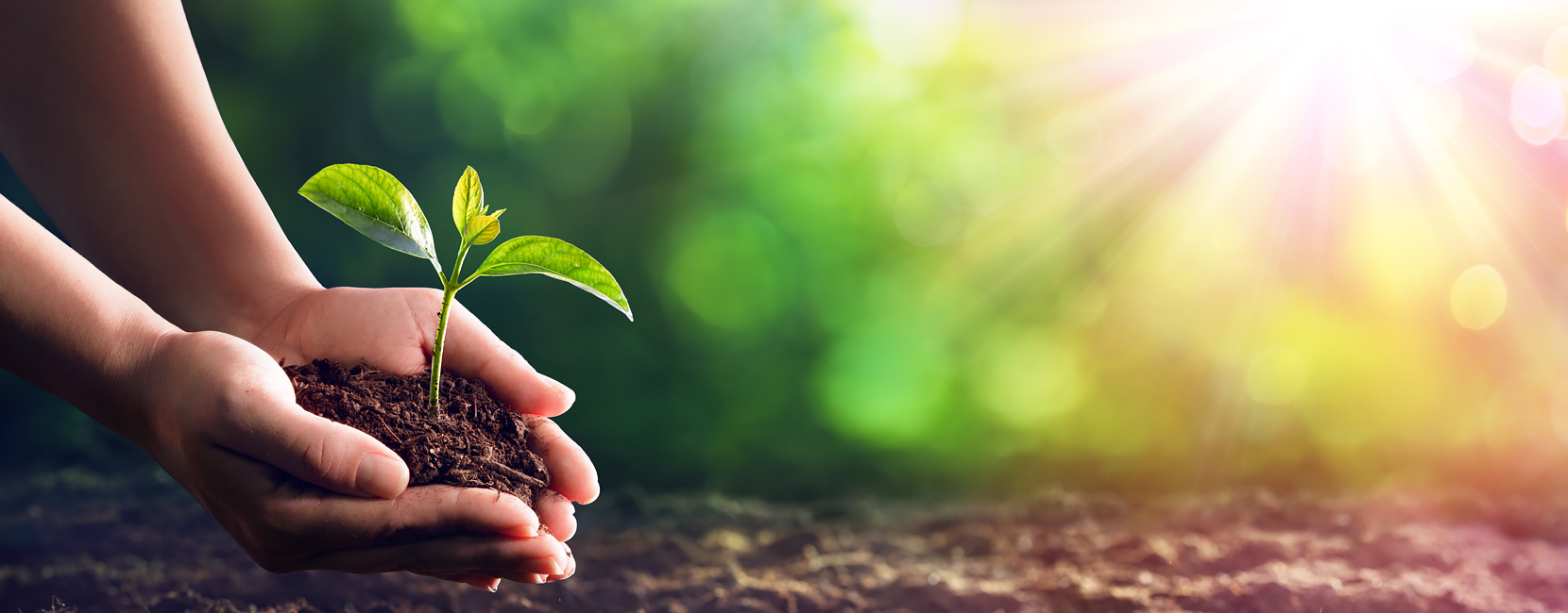 必发365(集团)兴趣网投天天必发